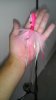 IMAG0557.jpg