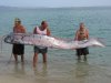 oarfish-41703559179.jpeg