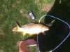 IMG_1234.jpg