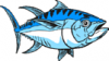 AR24-FISH-TUNA-01-RQ.png