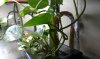 IMAG0653.jpg