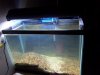 100_2204.JPG