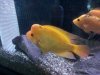 20120325_122158.jpg