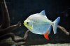 210 Gal 07.jpg