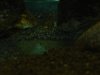 DSC00686.JPG