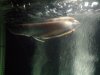 IMG_20120328_174738.jpg