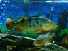 IMG00134-20110223-1712.jpg