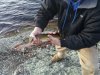 2012-03-27_18.37.12.jpg