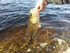 2012-03-27_17.41.03.jpg
