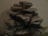 img825619.jpg