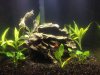 photo (2).JPG