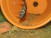 DSC00714.JPG
