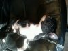 uploadfromtaptalk1333263119750.jpg
