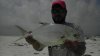 IMAG0573.jpg