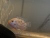 DSC01007.JPG