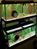 1-1 double stack tanks.JPG