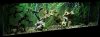 1-13 125 fish tank.JPG