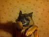 IMG-20120229-00080.jpg