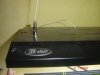DSC00987.JPG