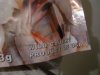 DSC04896.JPG