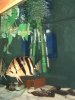 DSCF0024.JPG