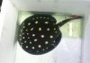 leopoldi stingray1.jpg