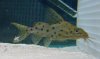 DSC00494.JPG