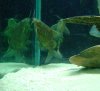 DSC00498.JPG
