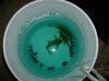 DSC00486.JPG