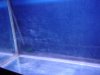 30gal.JPG