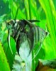100_3624.jpg