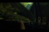 ImageUploadedByMonsterAquariaNetwork1333796576.301698.jpg