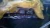 2012-04-07_08-23-44_712.jpg