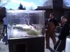 WP_000218.jpg
