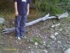 andrews pictures 868.JPG