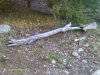 andrews pictures 866.JPG