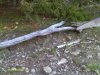 andrews pictures 870.JPG
