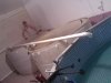 WP_000303.jpg