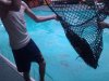WP_000270.jpg