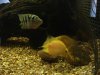 DSC04316.JPG