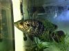 Latest pics 236.jpg
