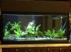 IMG-20120412-00565.jpg