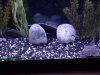 DSC01030.jpg