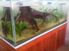 IMG01388-20120417-1326.jpg