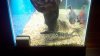 2012-04-17_20-27-51_291.jpg