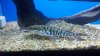 2012-04-17_20-27-29_483.jpg