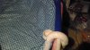 IMAG0021.jpg