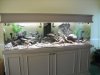 DSCN3824.JPG DSCN3824.JPG
