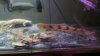 2012-04-19_19-17-24_828.jpg