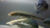 2012-04-19_19-17-34_400.jpg